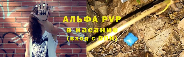 сатива Ельня
