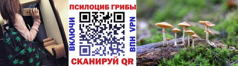 Купить  Ярцево  Псилоцибиновые грибы Magic Shrooms 