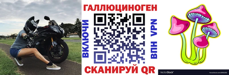 Галлюциногенные грибы Psilocybe Ярцево